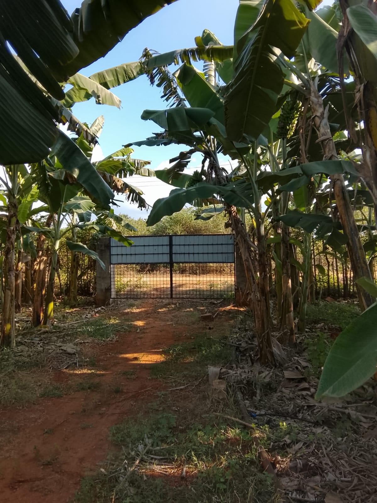 LAND FOR SALE